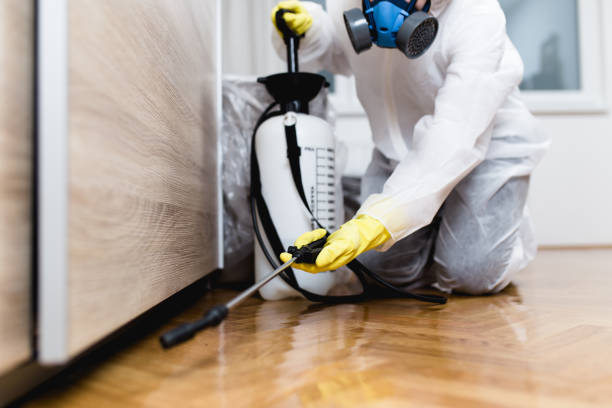 Best Pest Removal Services  in Brookhaven, PA