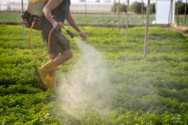 Best Affordable Exterminators  in Brookhaven, PA