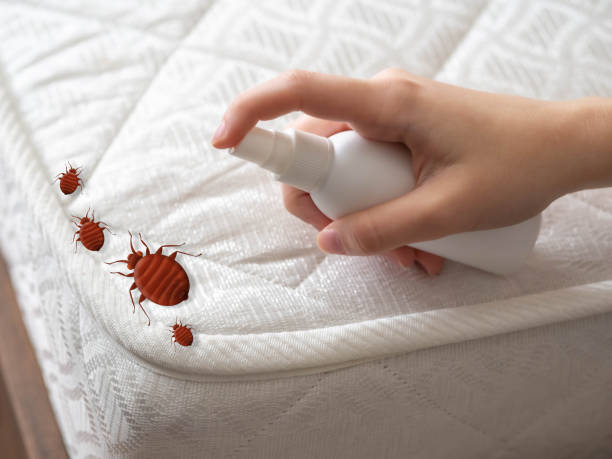 Best Commercial Pest Control Services  in Brookhaven, PA