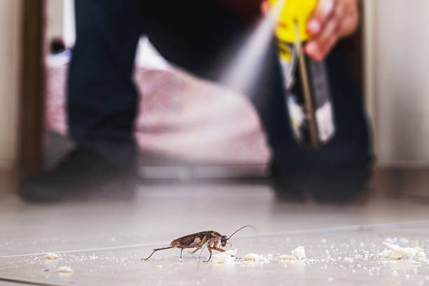 Reliable Brookhaven, PA Pest Control Solutions