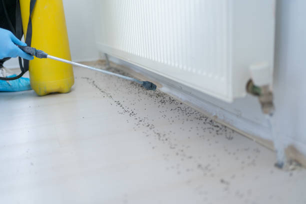 Pest Control Cost in Brookhaven, PA